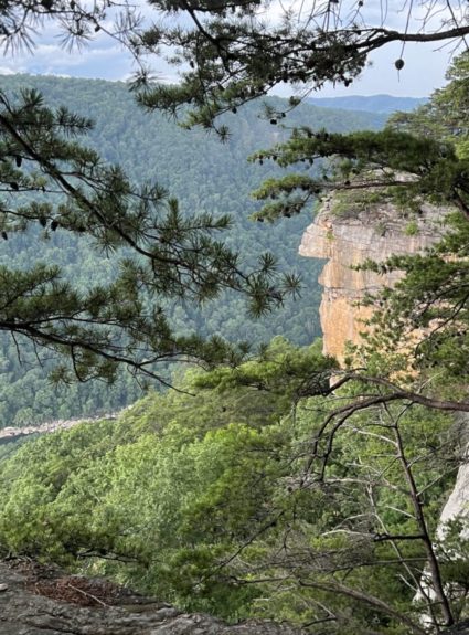 endless wall trail cliff view through trees