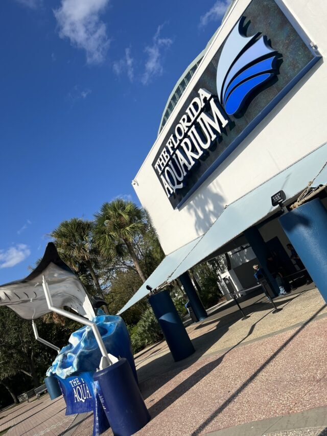 Visiting The Florida Aquarium